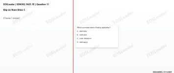 11.webp