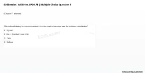 mc_question_5.webp