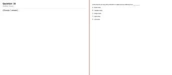 Q_033.webp