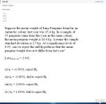 MAS291 SP26 FE RE_042.webp