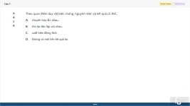 MLN111 SP26 FE_01.webp