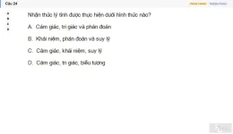 MLN111 SU26 FE_024.webp
