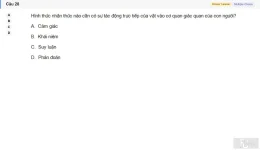 MLN111 SU26 FE_028.webp