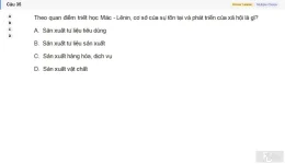 MLN111 SU26 FE_035.webp