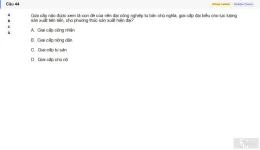 MLN131 SU26 FE_044.webp