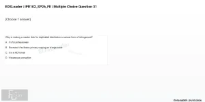 mc_question_31.webp