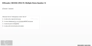 mc_question_14.webp