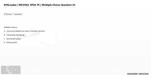 mc_question_23.webp