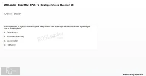 mc_question_38.webp