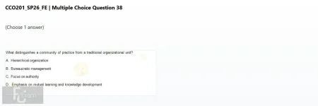 Q_038.webp