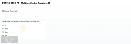 Q_040.webp