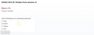 SDN302 SP2026 FE RE_043.webp