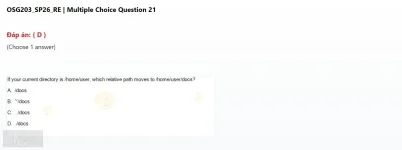 OSG203 SP26 FE RE_21.webp