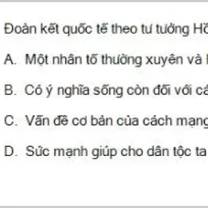 HCM202 SP26 B5 FE_022.webp