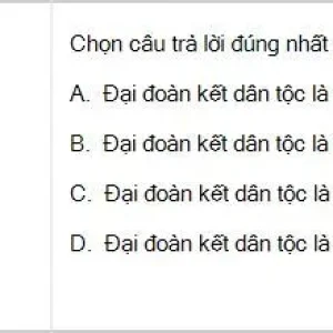 HCM202 SP26 B5 FE_048.webp