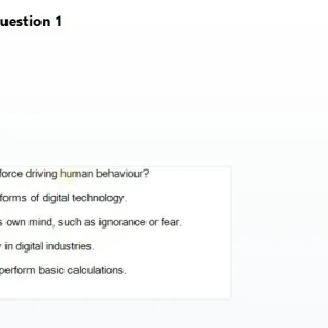 BDT201c SP26 RE_001.webp