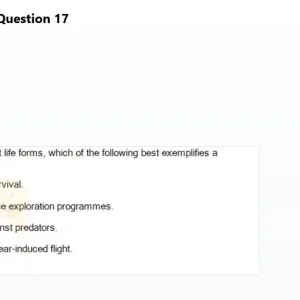 BDT201c SP26 RE_017.webp