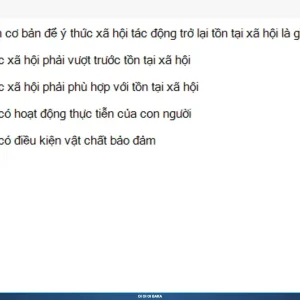 MLN111 SP26 B5 FE RE_035.webp