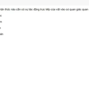 MLN111 SU26 FE_028.webp