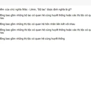MLN111 SU26 FE_036.webp