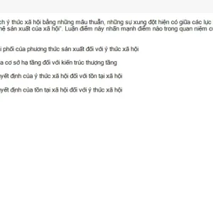 MLN111 SU26 FE_059.webp