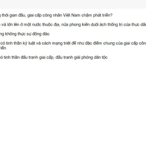 MLN131 SU26 FE_001.webp