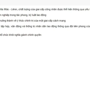 MLN131 SU26 FE_002.webp