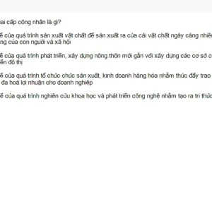 MLN131 SU26 FE_003.webp