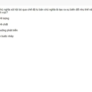 MLN131 SU26 FE_005.webp