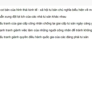 MLN131 SU26 FE_009.webp
