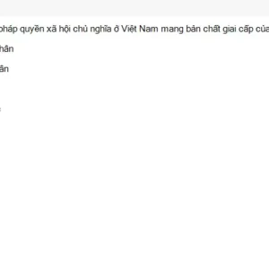 MLN131 SU26 FE_012.webp