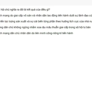MLN131 SU26 FE_014.webp