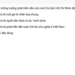 MLN131 SU26 FE_016.webp