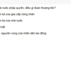 MLN131 SU26 FE_018.webp