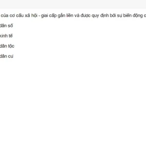 MLN131 SU26 FE_020.webp