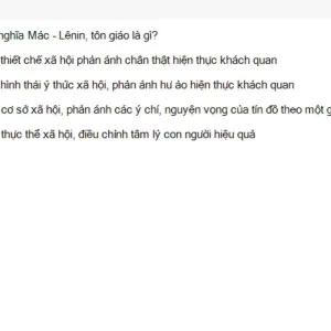 MLN131 SU26 FE_026.webp