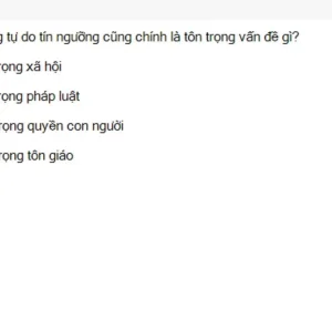 MLN131 SU26 FE_028.webp