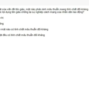 MLN131 SU26 FE_031.webp