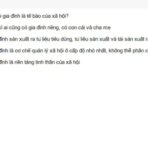 MLN131 SU26 FE_032.webp
