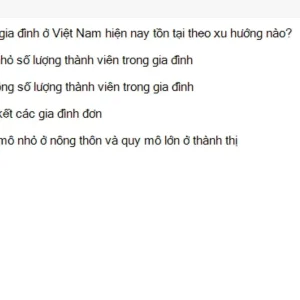 MLN131 SU26 FE_035.webp