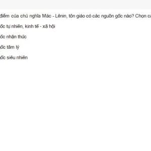 MLN131 SU26 FE_039.webp
