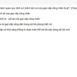 MLN131 SU26 FE_041.webp