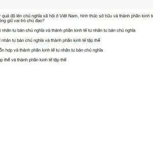 MLN131 SU26 FE_057.webp