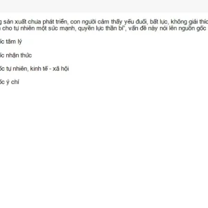 MLN131 SU26 FE_058.webp
