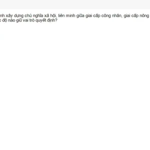 MLN131 SU26 FE_059.webp