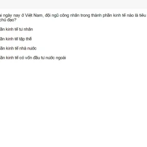 MLN131 SU26 FE RE_014.webp