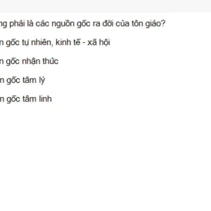 MLN131 SU26 FE RE_041.webp