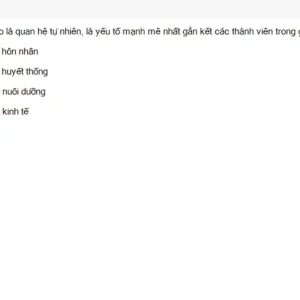MLN131 SU26 FE RE_050.webp