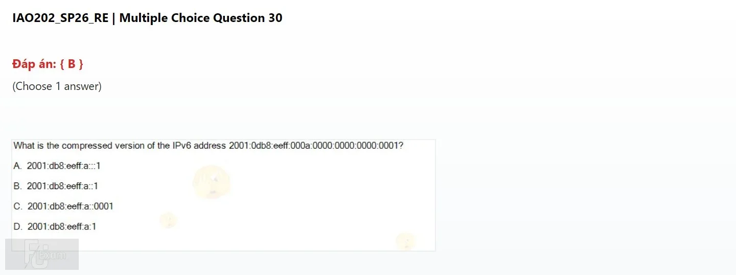 IAO202 SP26 FE RE_030.webp