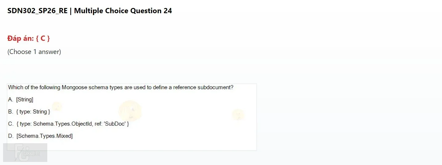 SDN302 SP2026 FE RE_024.webp